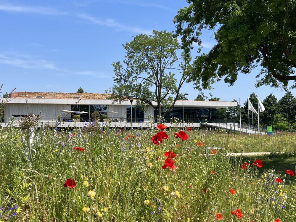 Omnia in het groen Wageningen campus